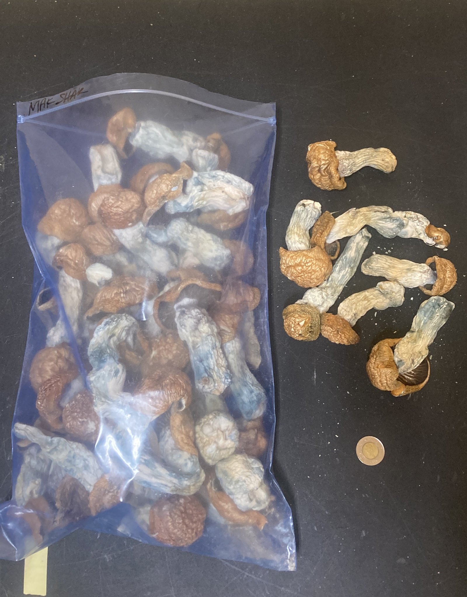 MakShak