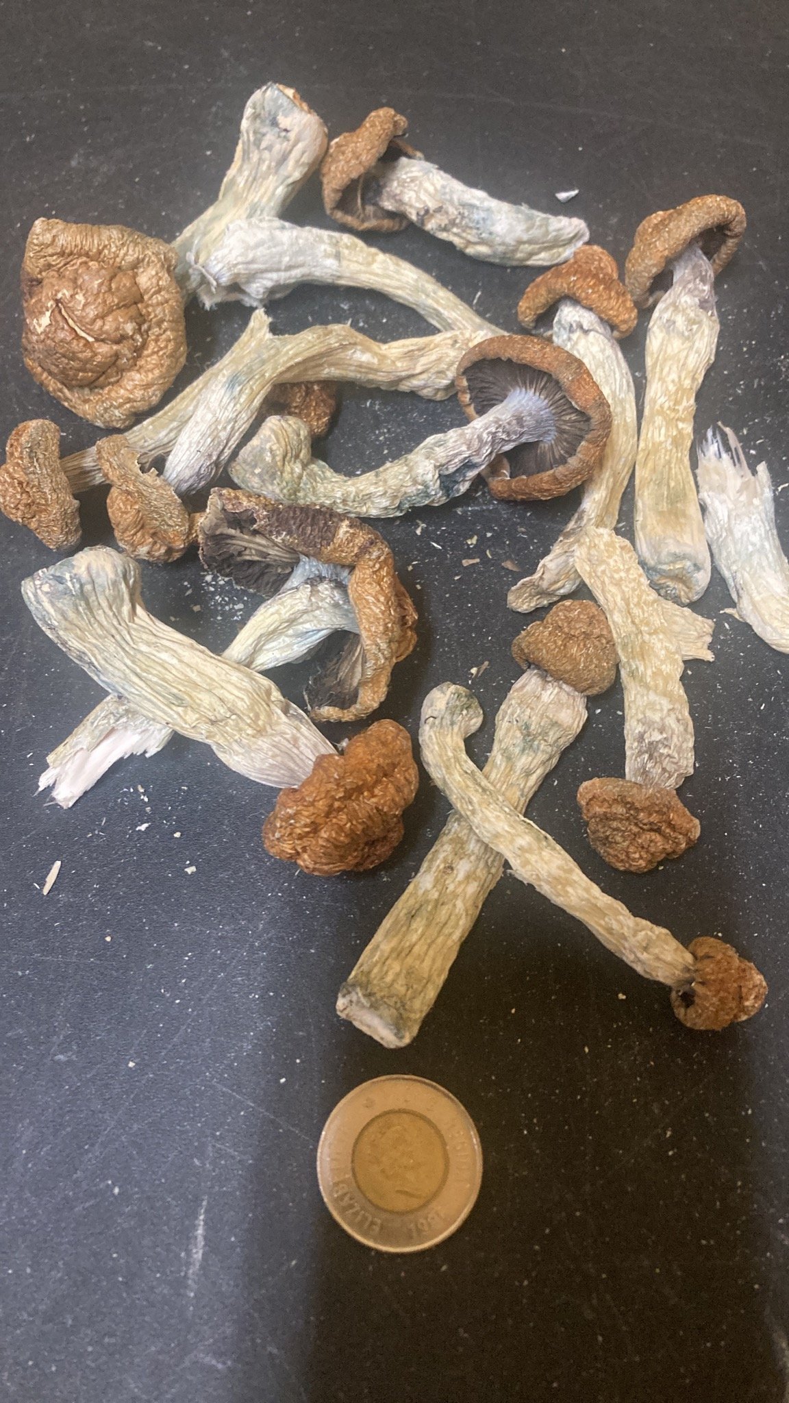 Penis Envy #7