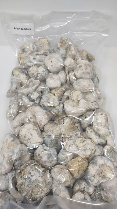 Albino Alien Bubbles