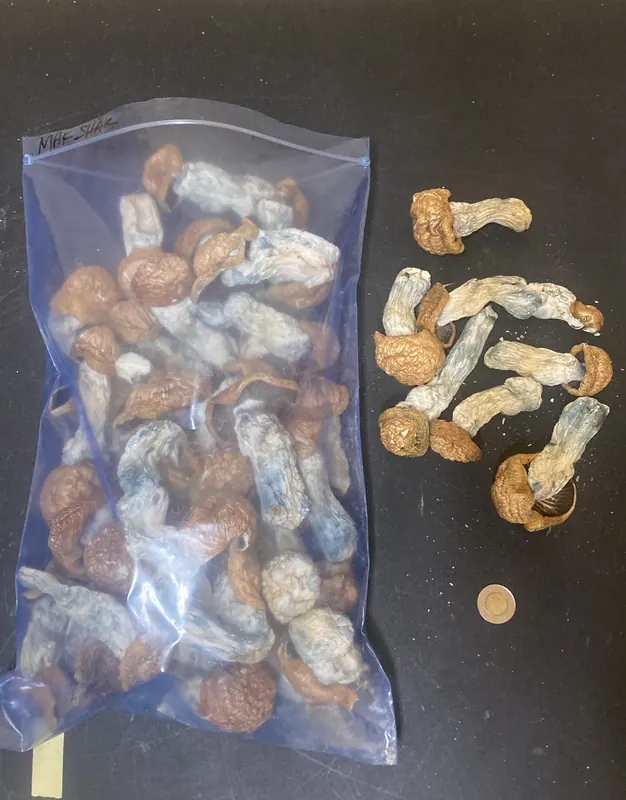 MakShak